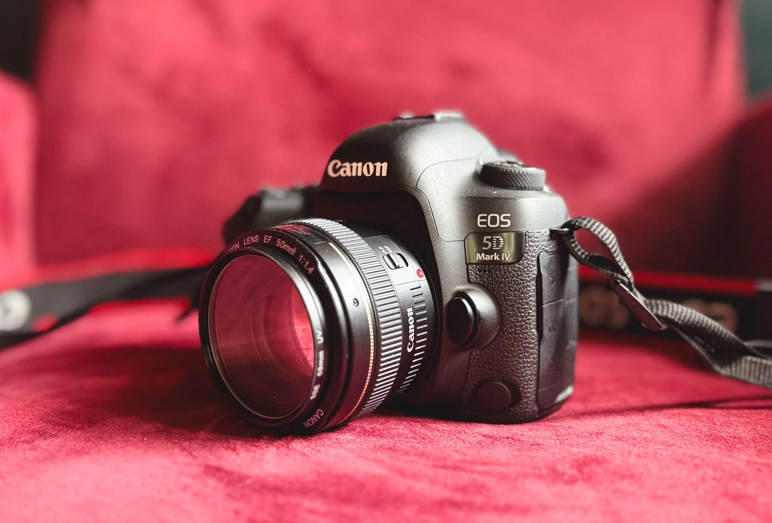 canon 50 mm f/1.4 sample photos — Blog — Myles Katherine Photography